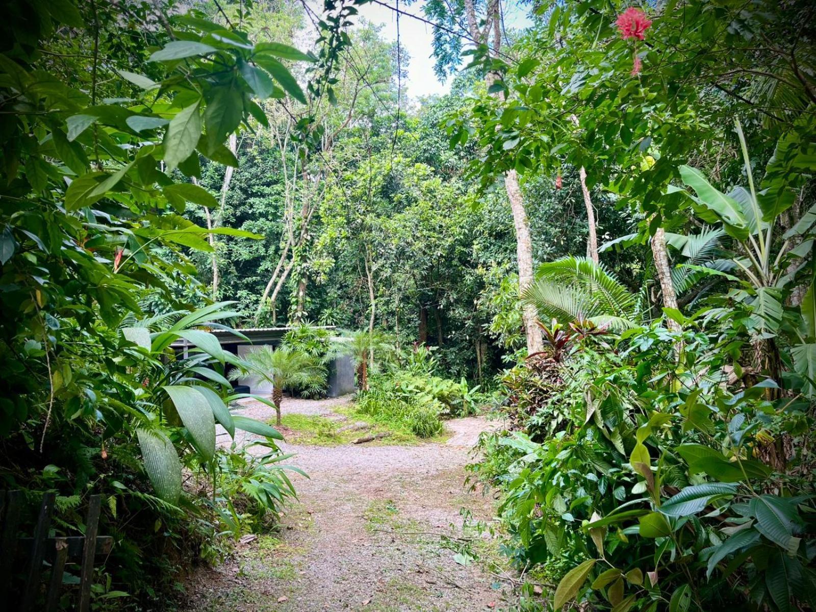 Mari Pouso - Refugio Natural - Rio de Janeiro — Photos 1